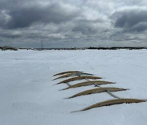 Old wooden buildings buried in snow