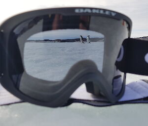 Goggles on the ice