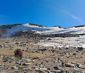 Walking through the snow capped hils of the Vestfold Mountains