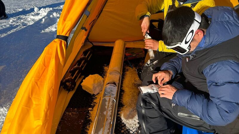 Two people in a yellow tent looking at a tube full of ice.