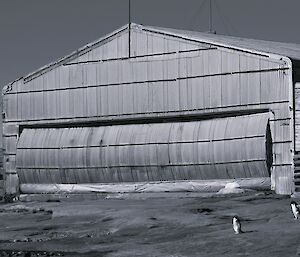 Old seaplane hangar at Mawson