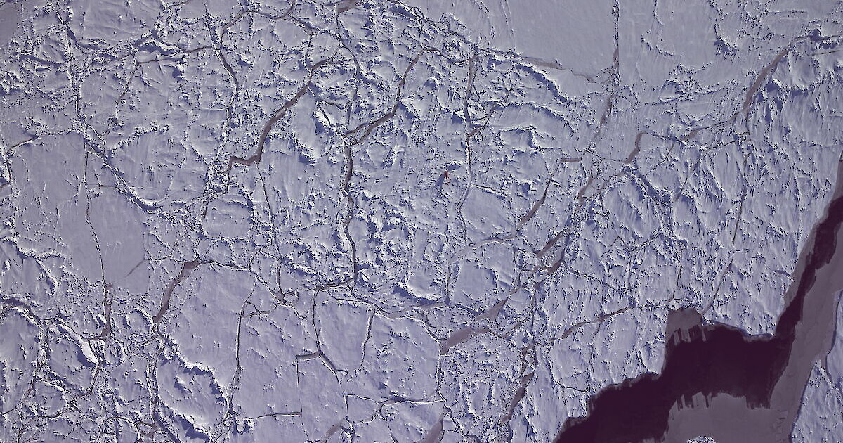 www.antarctica.gov.au
