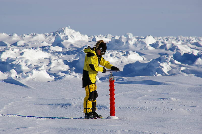 Researcher taking ice core on the sea ice