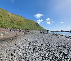 A bunch of people standing on a rocky beach with a green hill to the left.