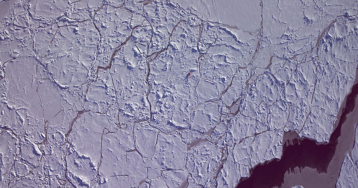 Antarctic sea ice in crisis – Australian Antarctic Program (News 2024)