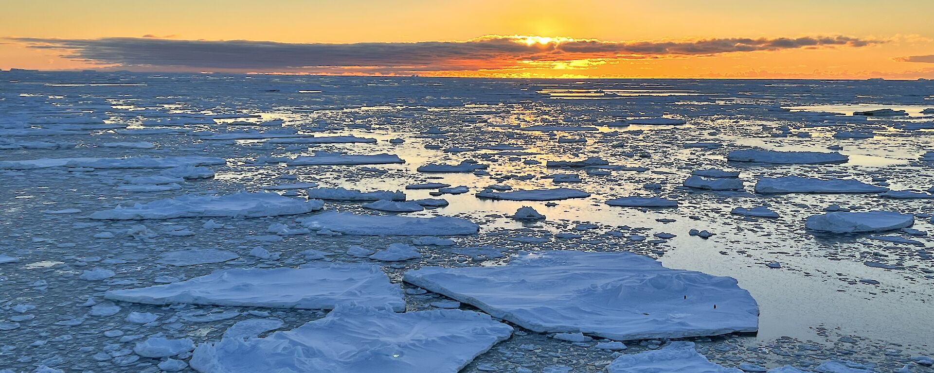 A flat sea at sunrise or sunset, with flat, pancake-shaped ice floes all over it.