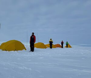 Four expeditioners standing out the front of their yellow tents on snow