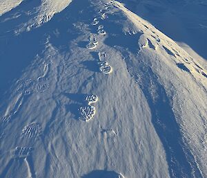 Raised boot prints in the snow