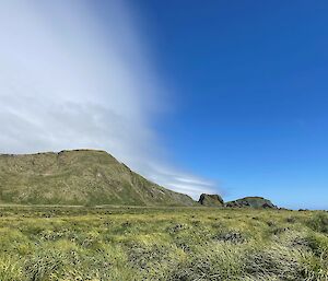 A grassy hill in the distance