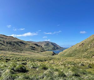 A grassy hillside looking out to sea