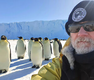 Emperor penguins take a selfie.