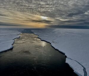 The view from the rear of Nuyina as it breaks ice, carving a watery swathe behind it. Sunset above.