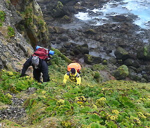 Two people with backpacks climb up a steep rocky hill.