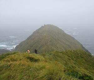 A grassy hill with wild ocean in the background and two expeditioners walking down the side.