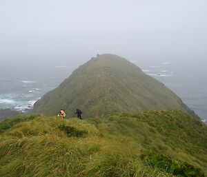 A grassy hill with wild ocean in the background and two expeditioners walking down the side.