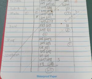 A notepad with lots of counting marks on it.