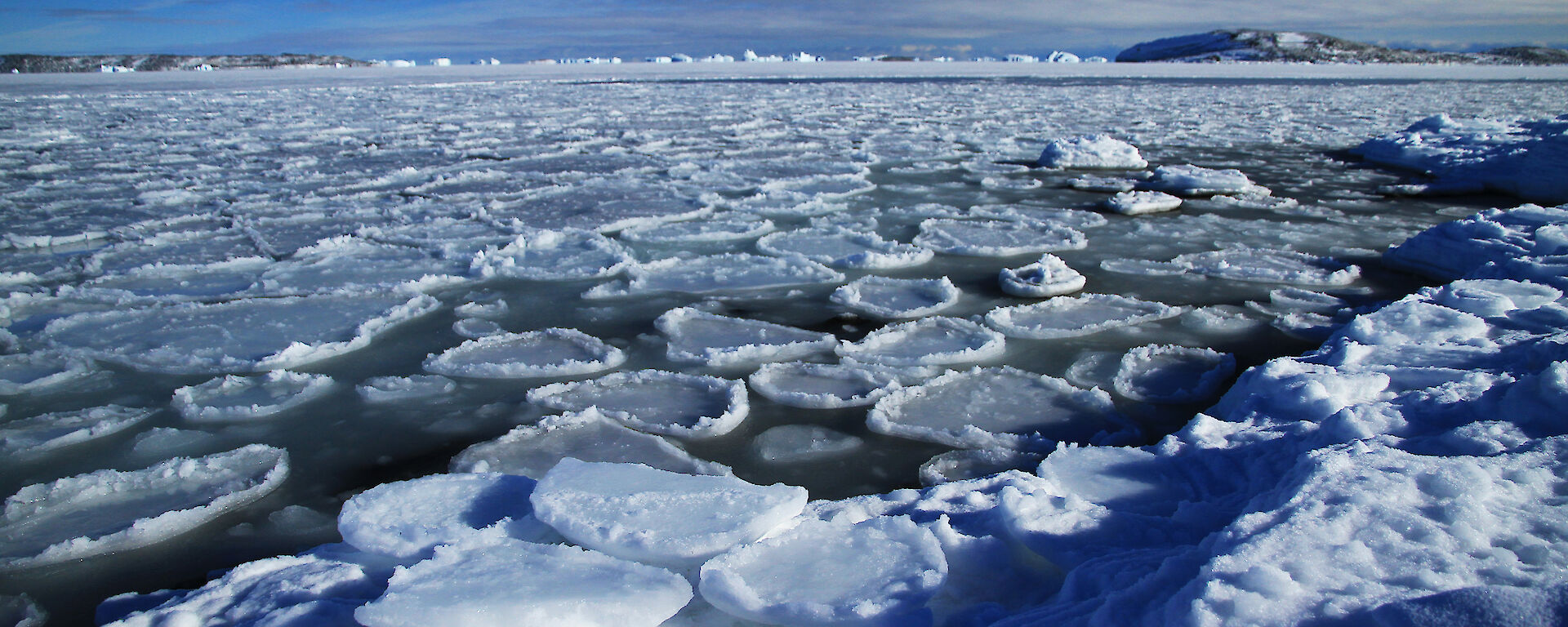A large area of pancake ice