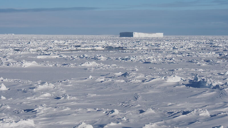 Thick sea ice blanketing the southern ocean.