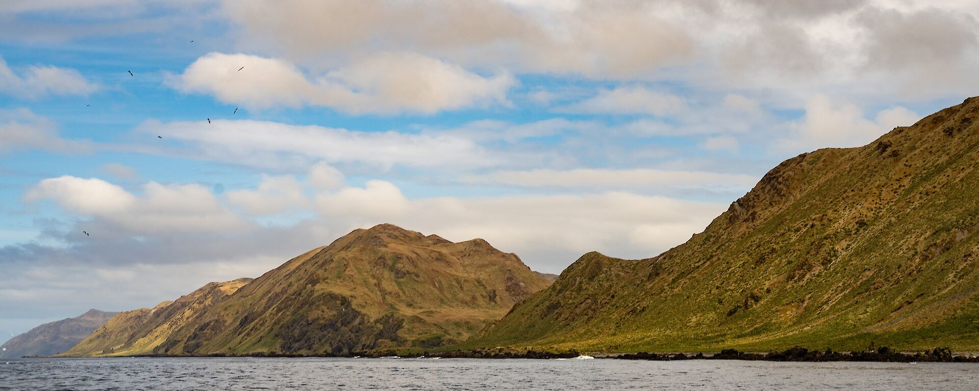 A landscape image of Macquarie Island, with a group of birds circling above the water