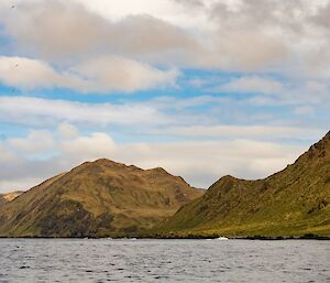 A landscape image of Macquarie Island, with a group of birds circling above the water