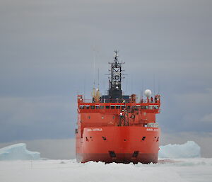 An orange icebreaker sitting in a sea of ice.