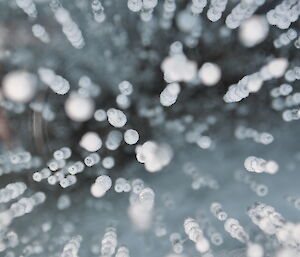 Bubbles in frozen water.