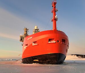 close up of Nuyina in ice