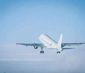 The A319 plane soaring off into the sky.