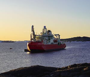 Australian research vessel Nuyina sits in a bay with sunrise behind it