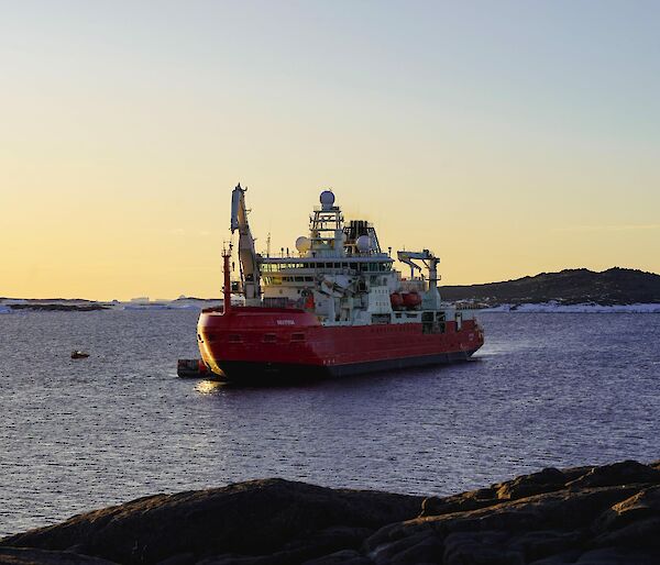Australian research vessel Nuyina sits in a bay with sunrise behind it