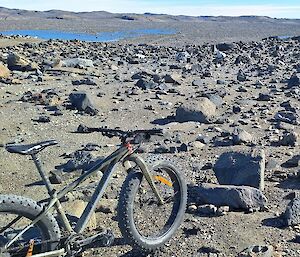 Bike parked at the end of Dingle Rd