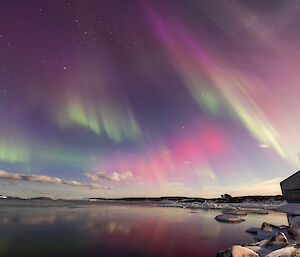 Curtains of purple and green auroral light crossed with a flash of red above Mawson station last week