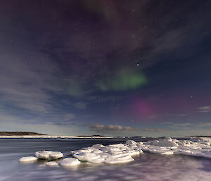 Purple and green auroral display with ice covered rocks in the foreground near Mawson station
