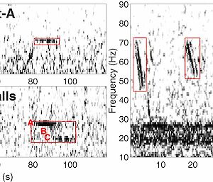 A spectrogram illustrating three types of whale calls.