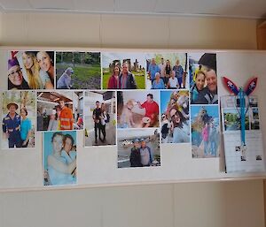 Family photos on a board