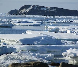 Broken up sea ice with more sea in the background and a rocky headland