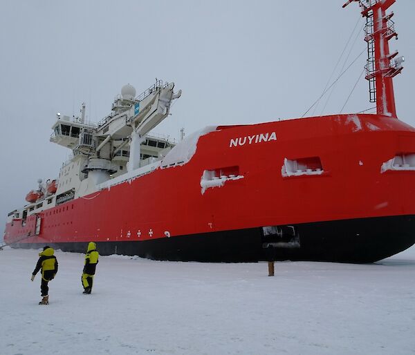 Big red and white ship on the sea ice
