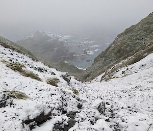 Snow-covered slopes of Macquarie Island, looking down towards the ocean on a misty day.