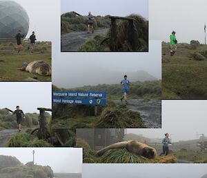 A photo montage showing people running on muddy tracks in misty conditions.