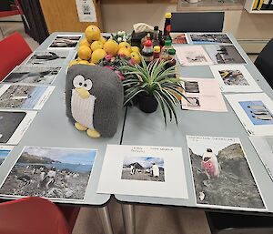 A stuffed knitted penguin and some penguin photograp;hs