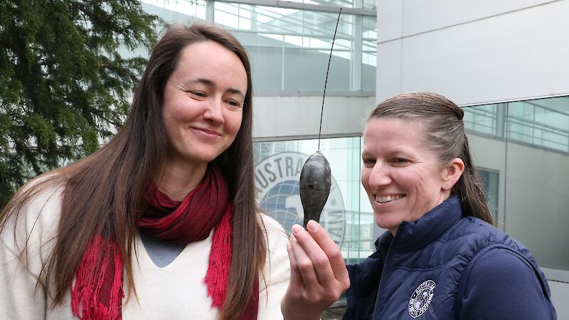 One woman holding up a satellite tag - a small submarine-shaped object with a 15 centimetre-long aerial pointing out one end. A second woman is looking on.