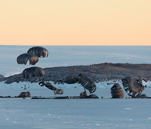 The parachutes gently touch down and deflate on the sea-ice in Kista Strait, in front of Mawson research station