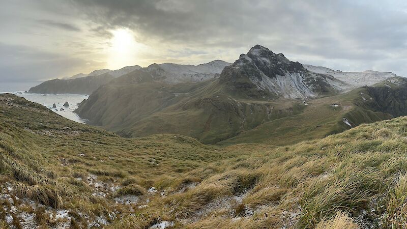 Snow covered mountain on a plateau with grasses in the foreground.