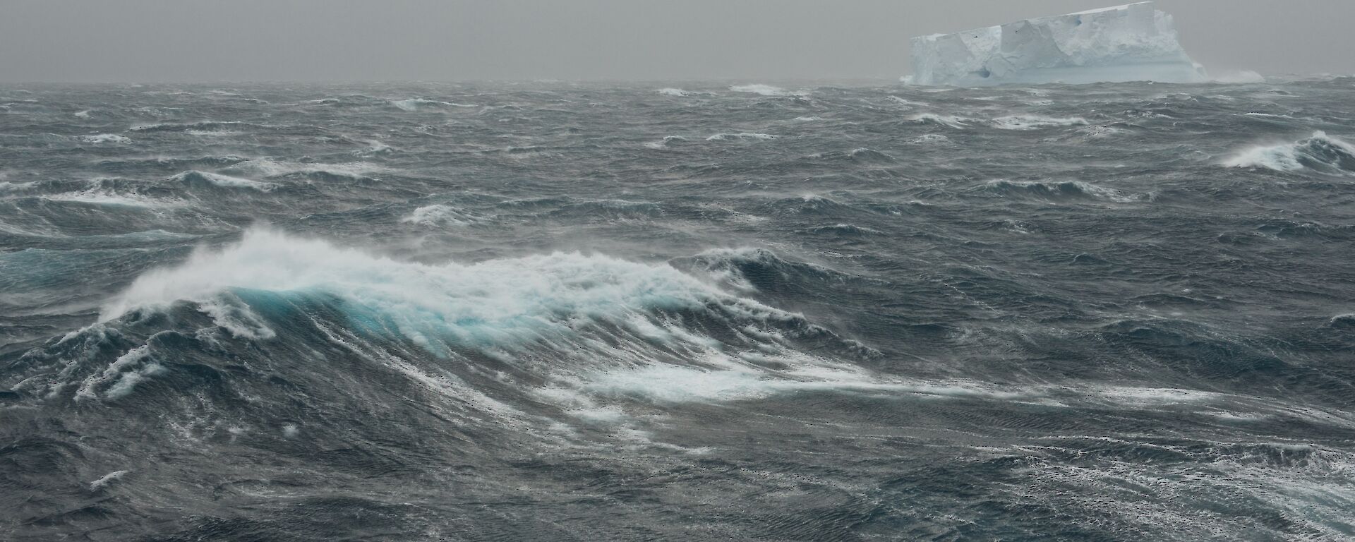 White capped waves on a grey Southern Ocean with an iceberg in the distance.