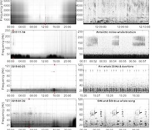 A series of black and white spectrograms
