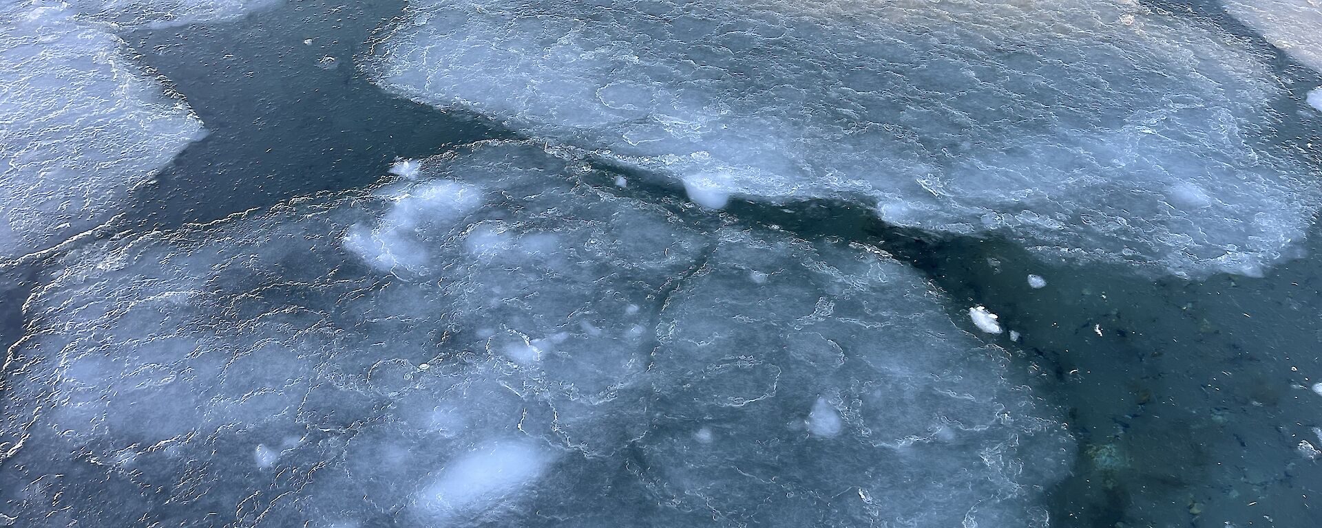 Pancake ice forms atop the water in small circular patterns and join to make larger ones