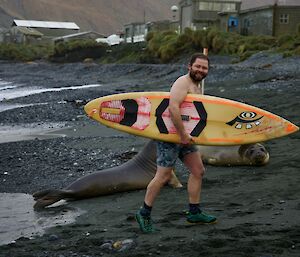 Man wearing board shorts and carring surf board walks out of water and smiles to camera, in the bachground are two elephant seals