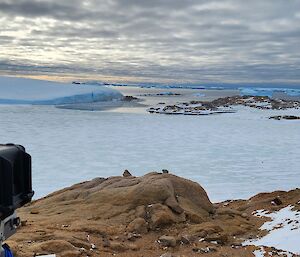 A black camera mounted on a rock in front of a snowy landscape