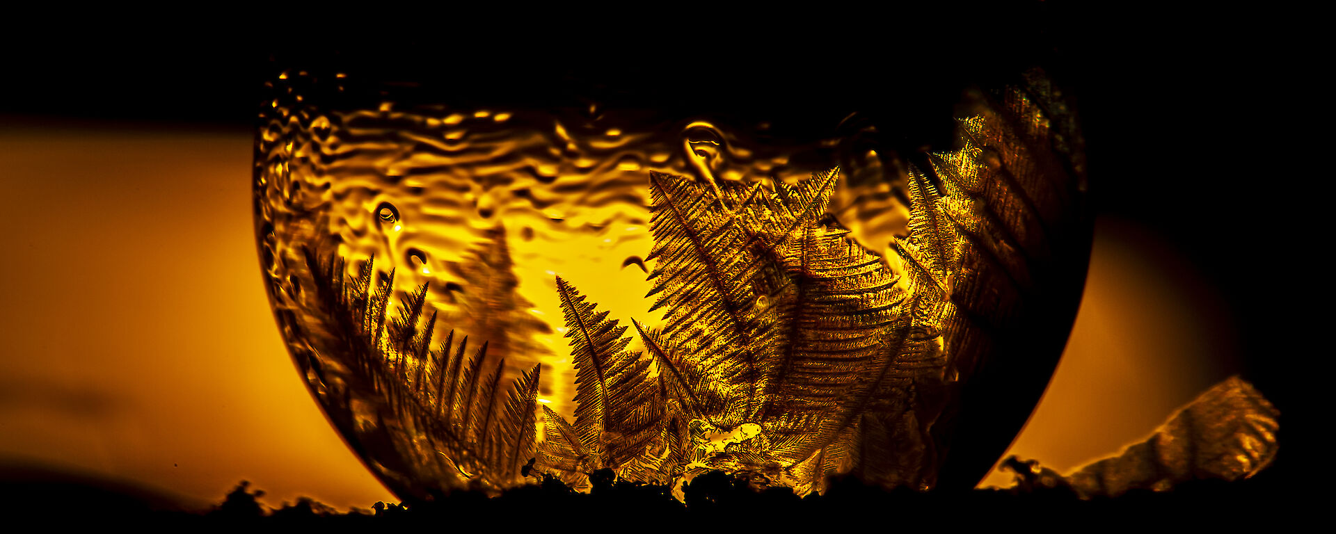 Snowflake patterns form on a freezing soap bubble, with a rising sun behind adding a yellow glow to everything.