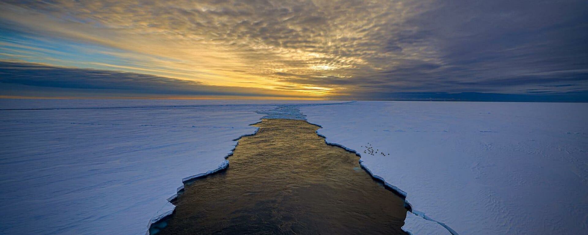 A deep dark swathe cuts through the ice, presumably behind the ship,  under a dawn or dusk sky